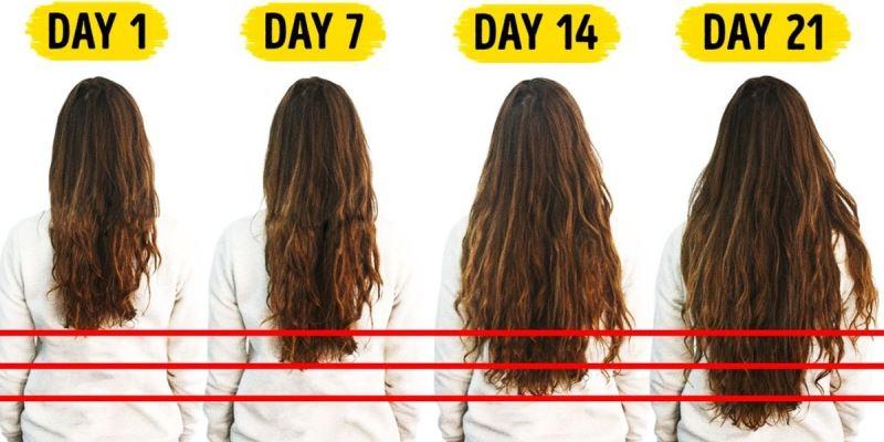 Ulta Growth-Basic Method To Enhance Hair Growth